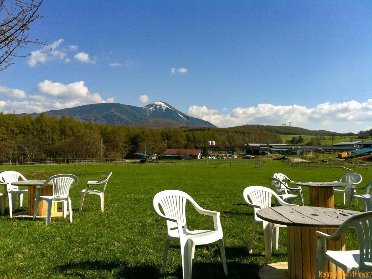 Pension Wildflowers Tateshina  Zewnętrze zdjęcie