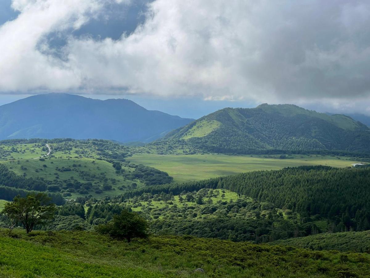 Pension Wildflowers Tateshina  Zewnętrze zdjęcie