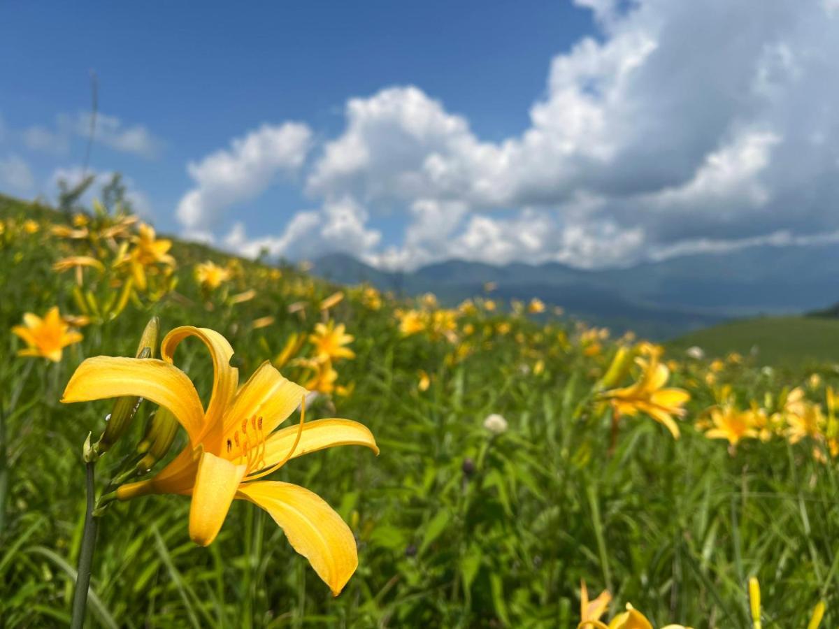 Pension Wildflowers Tateshina  Zewnętrze zdjęcie