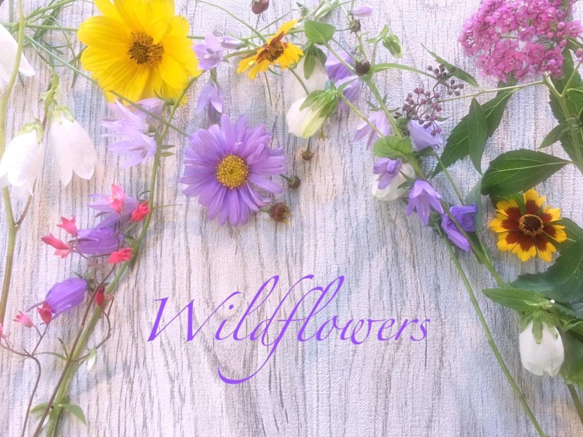 Pension Wildflowers Tateshina  Zewnętrze zdjęcie