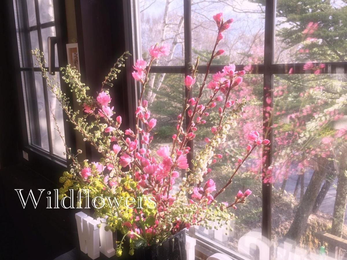 Pension Wildflowers Tateshina  Zewnętrze zdjęcie