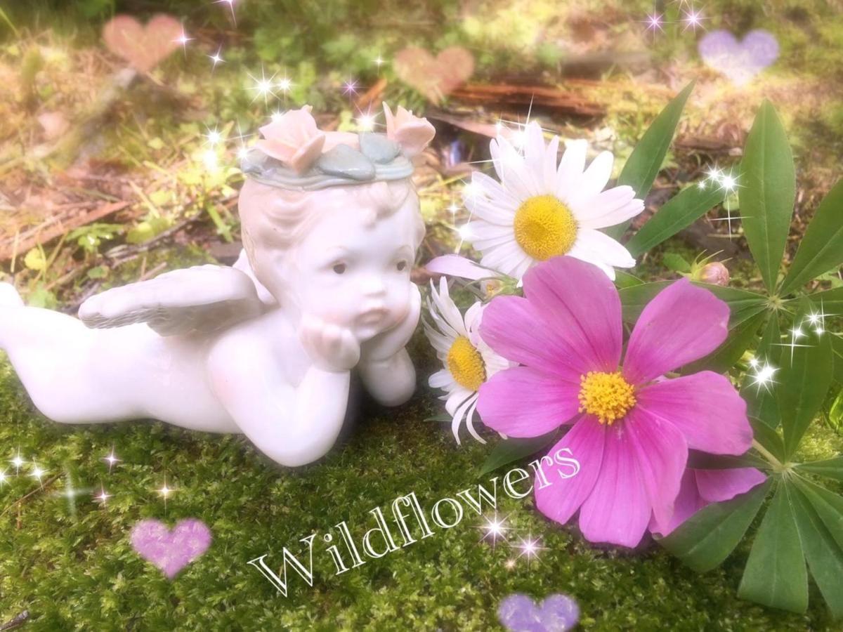 Pension Wildflowers Tateshina  Zewnętrze zdjęcie